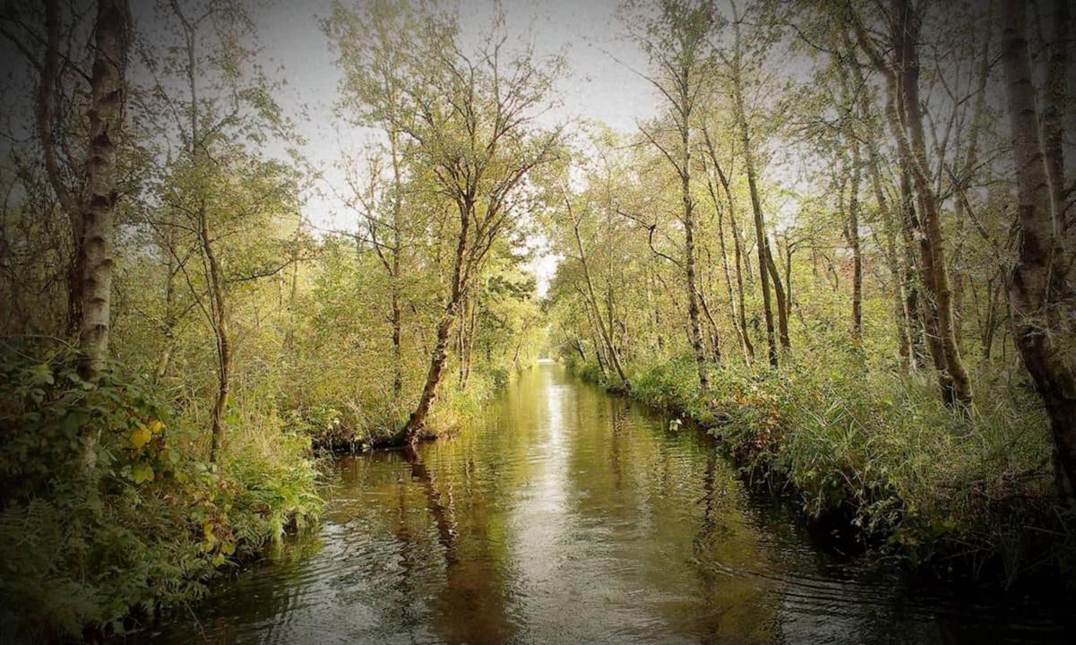Natuur Lodge Blesdijke Dış mekan fotoğraf